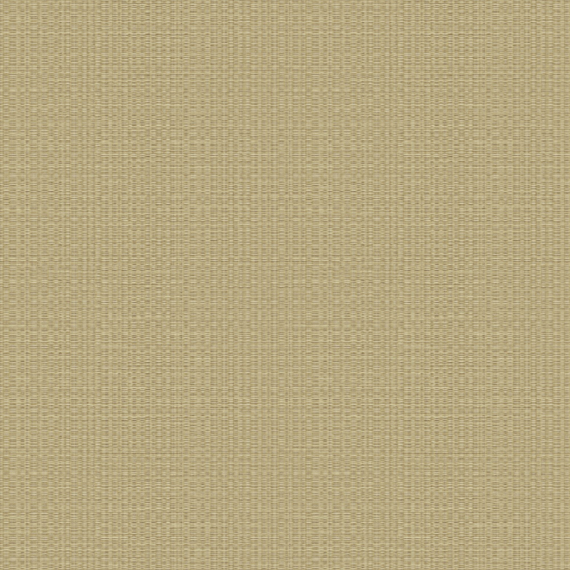 10025 Wallpaper in 38 color - pattern number 1002538WS151 - by JF Fabrics in the Vivid collection