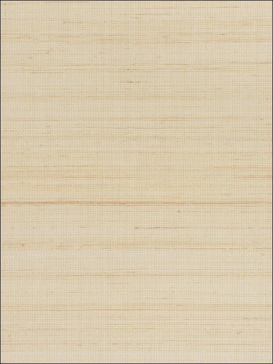 Grasscloth W3205 fabric in beige color - pattern number W3205.16.0 - by Kravet in the Grasscloth II collection