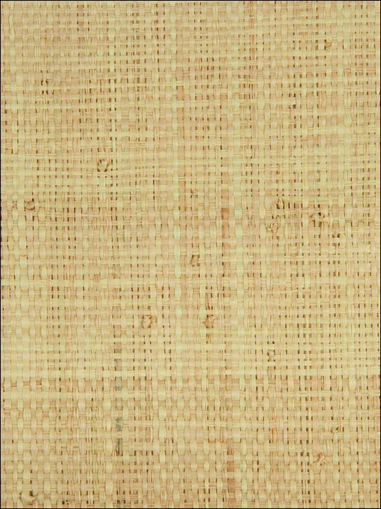 Grasscloth W3257 fabric in beige color - pattern number W3257.16.0 - by Kravet in the Grasscloth II collection