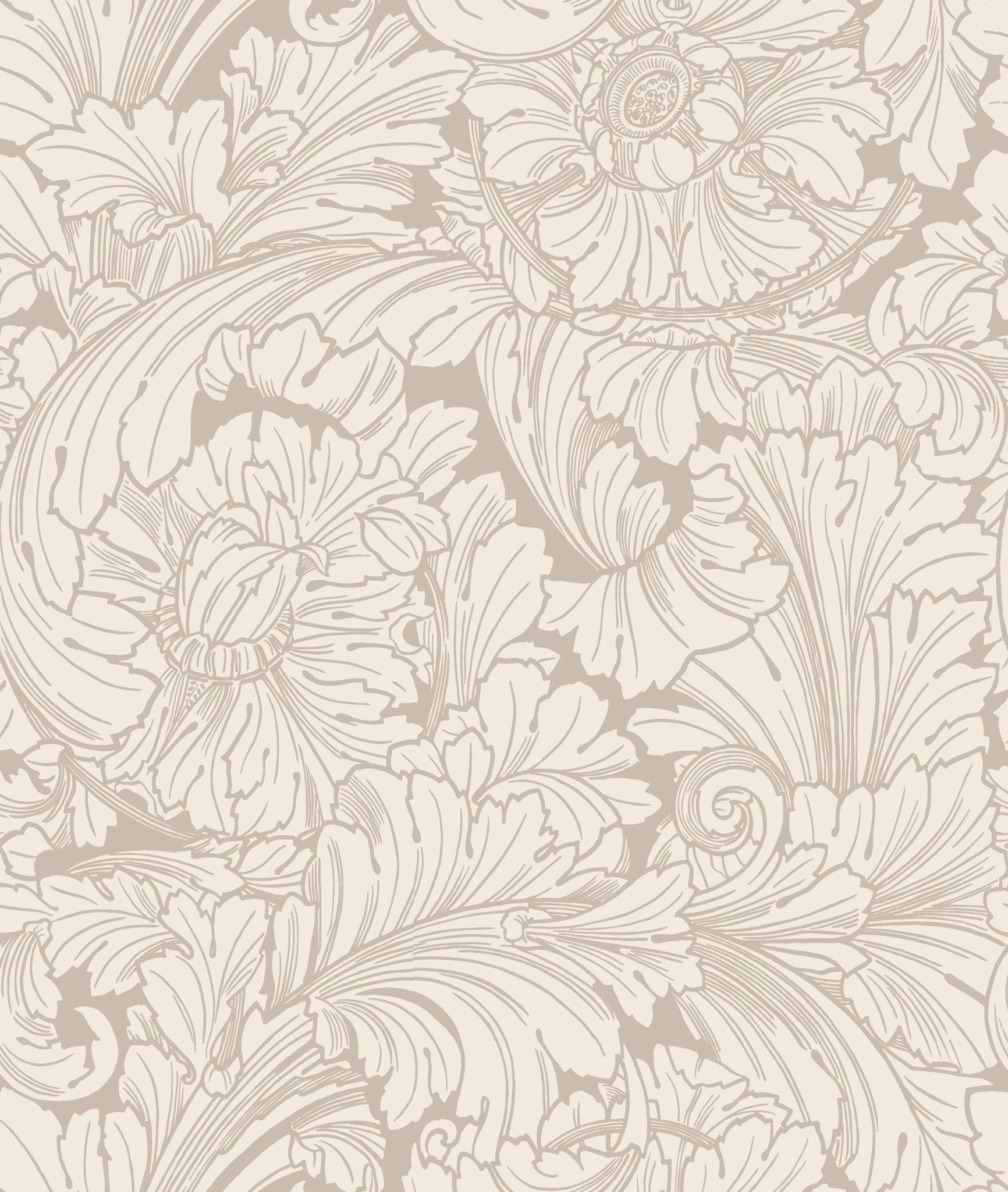 Acanthus Wallpaper in cream/pebble color - pattern number 127/6029.CS.0 - by Cole and Son in the Classics Vol I collection
