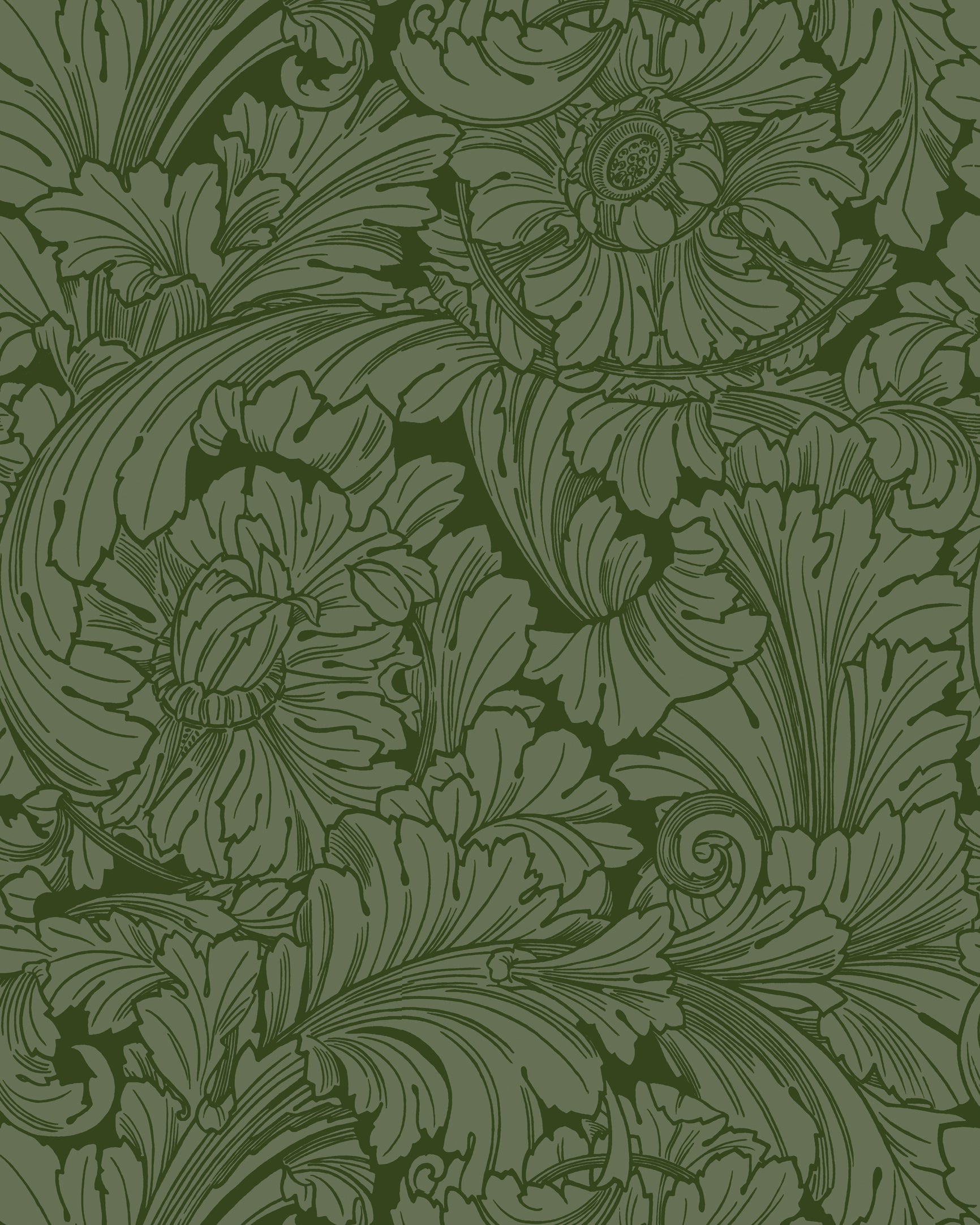 Acanthus Wallpaper in forest color - pattern number 127/6031.CS.0 - by Cole and Son in the Classics Vol I collection