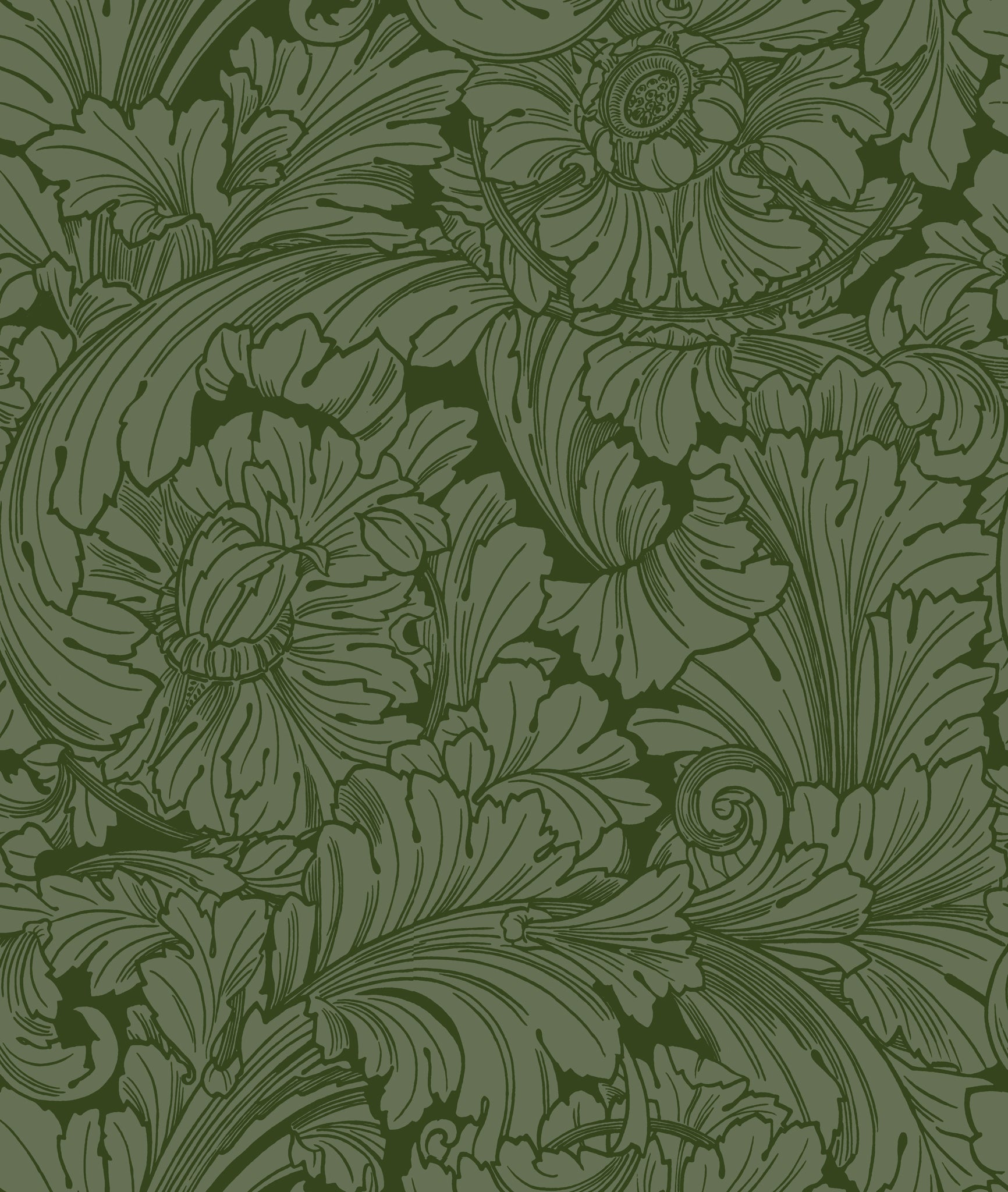 Acanthus Wallpaper in forest color - pattern number 127/6031.CS.0 - by Cole and Son in the Classics Vol I collection