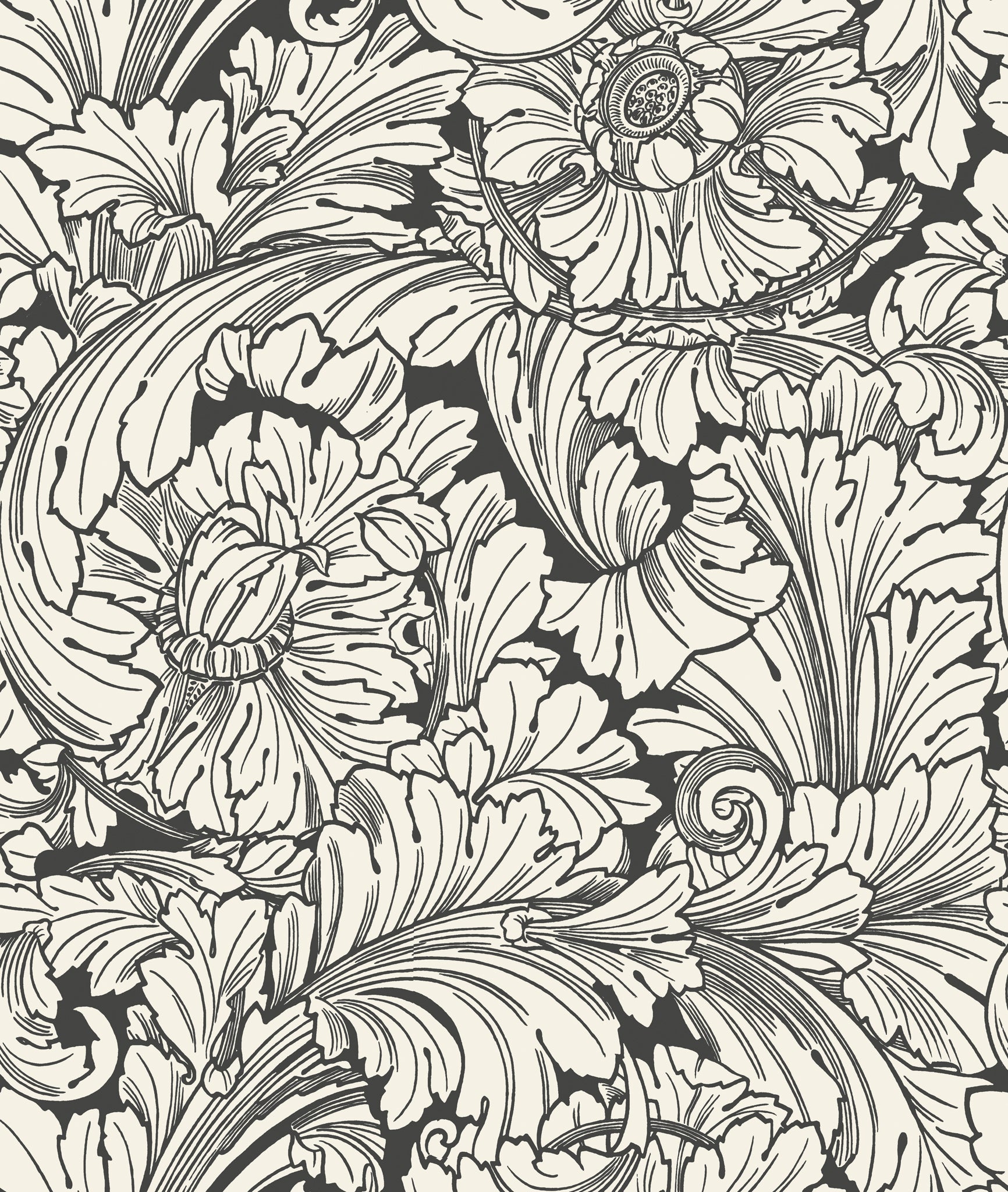 Acanthus Wallpaper in soot/snow color - pattern number 127/6032.CS.0 - by Cole and Son in the Classics Vol I collection