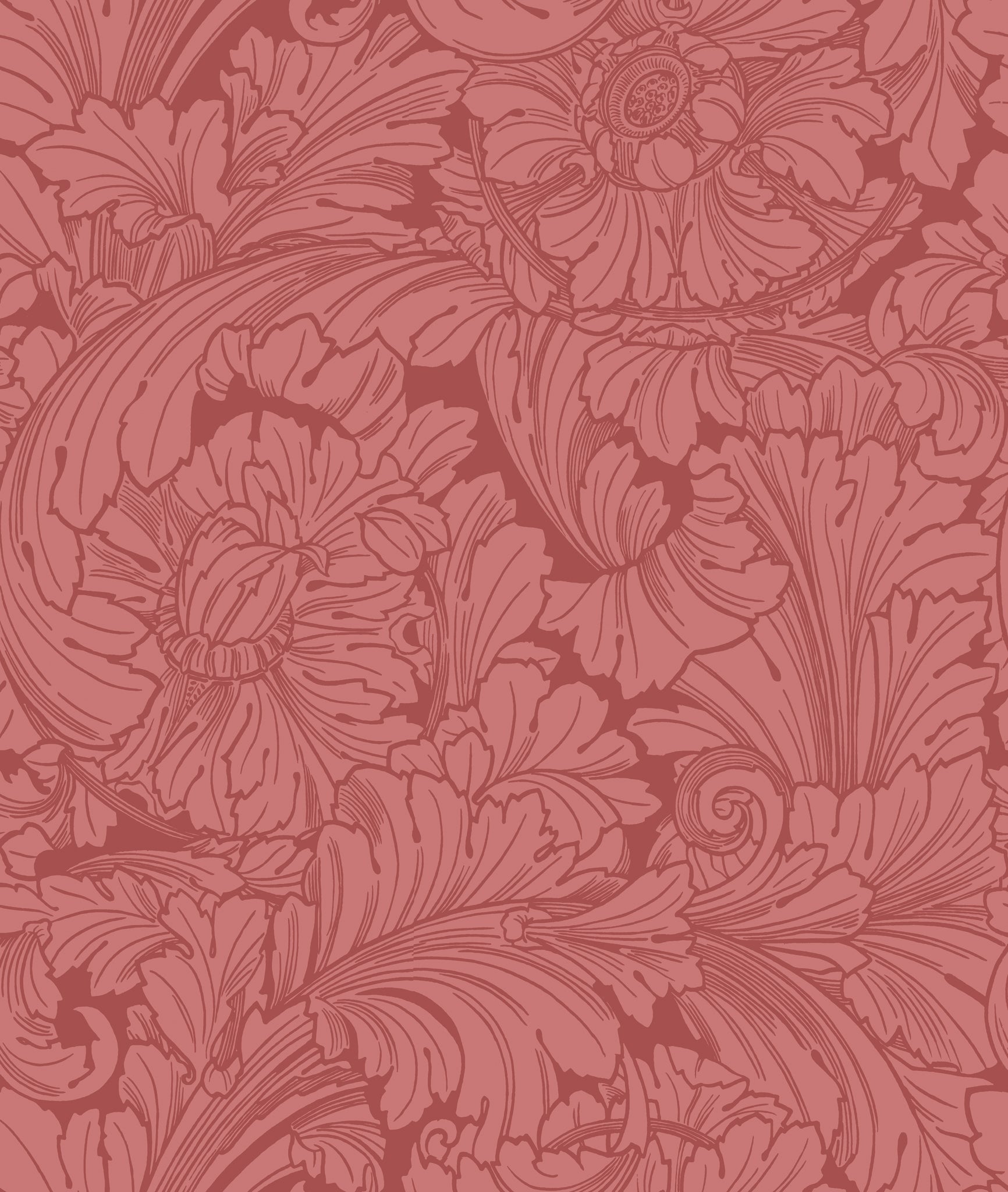 Acanthus Wallpaper in stately home red color - pattern number 127/6033.CS.0 - by Cole and Son in the Classics Vol I collection