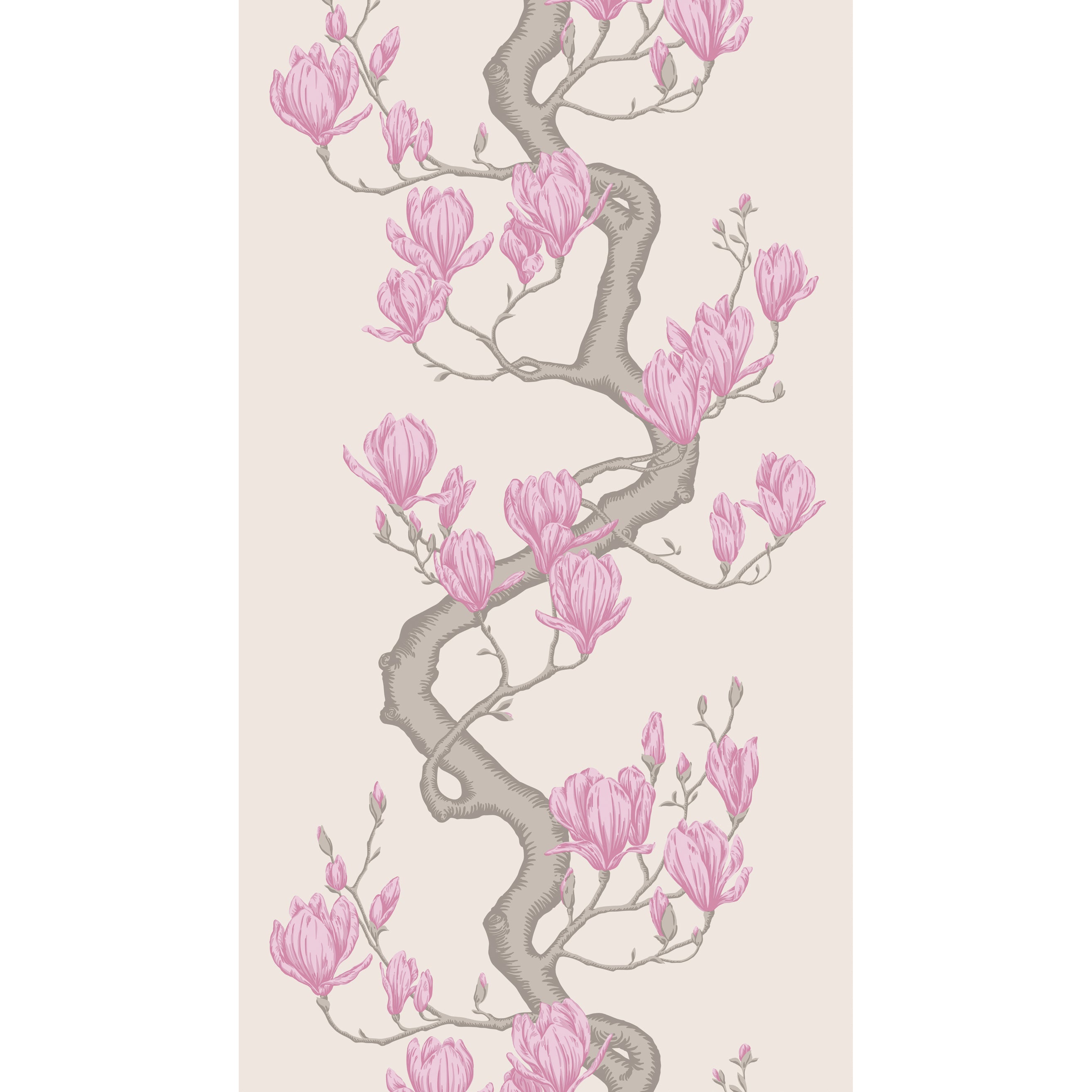 Magnolia Tree Wallpaper in parchment color - pattern number 128/1002.CS.0 - by Cole and Son in the Classics Vol II collection
