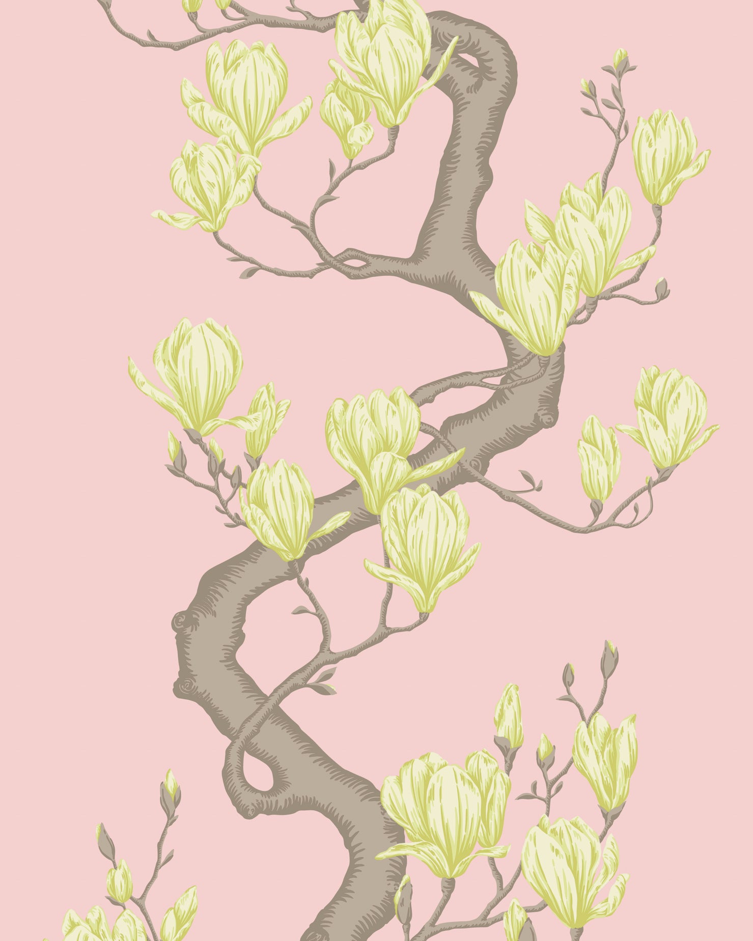 Magnolia Tree Wallpaper in rose pink color - pattern number 128/1005.CS.0 - by Cole and Son in the Classics Vol II collection
