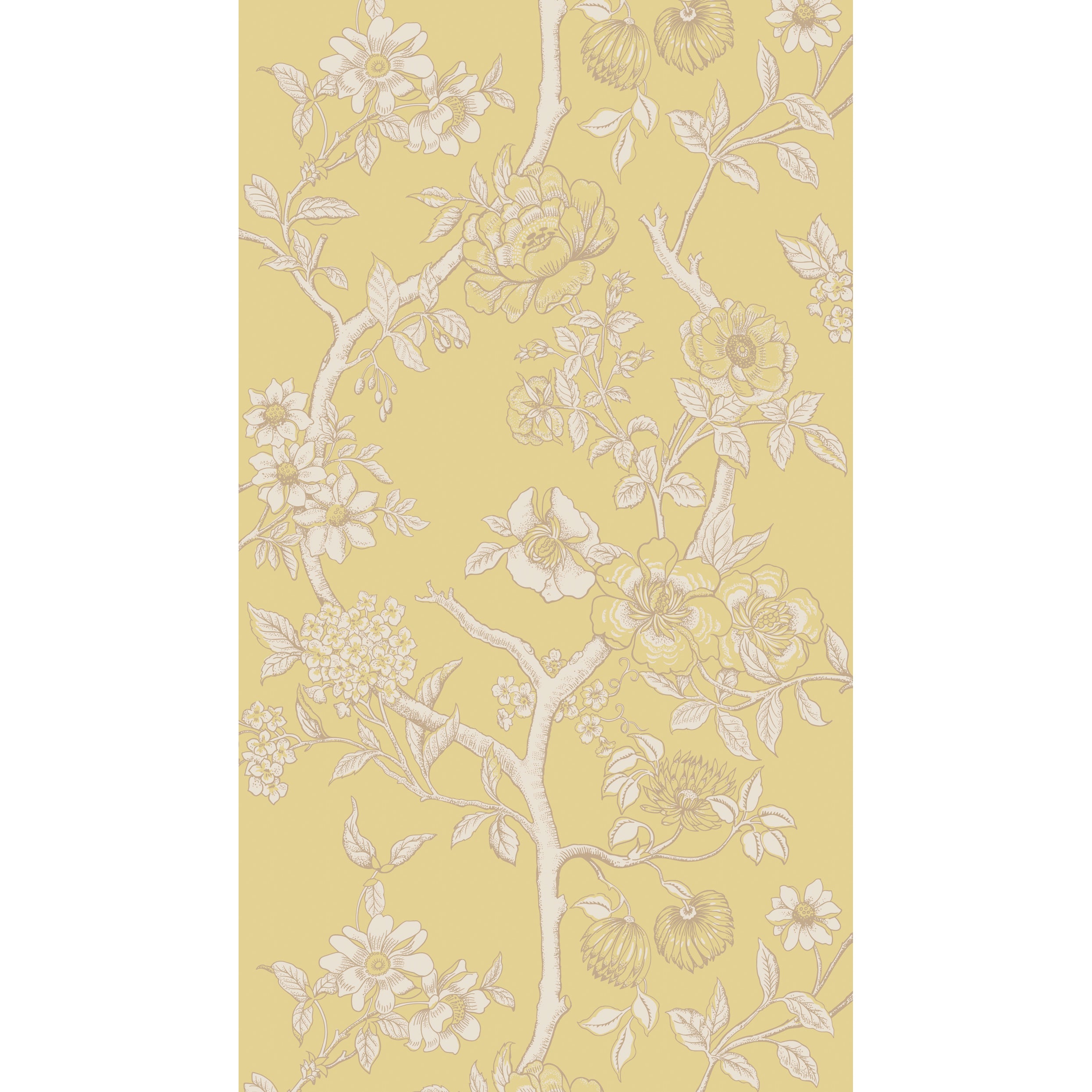 Paradise Tree Wallpaper in yellow color - pattern number 128/2009.CS.0 - by Cole and Son in the Classics Vol II collection