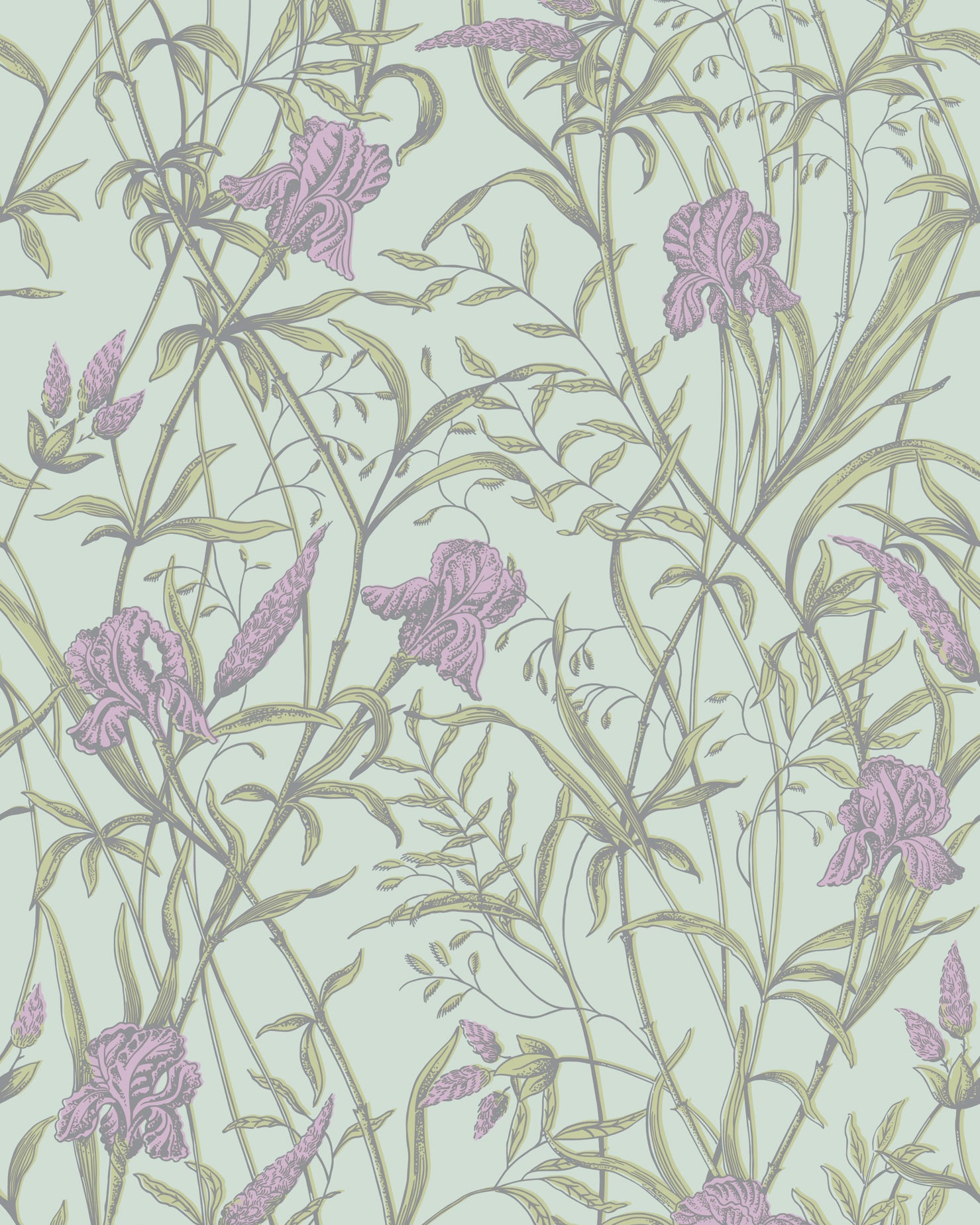 Iris Wallpaper in lavender on duck egg color - pattern number 128/5024.CS.0 - by Cole and Son in the Classics Vol II collection
