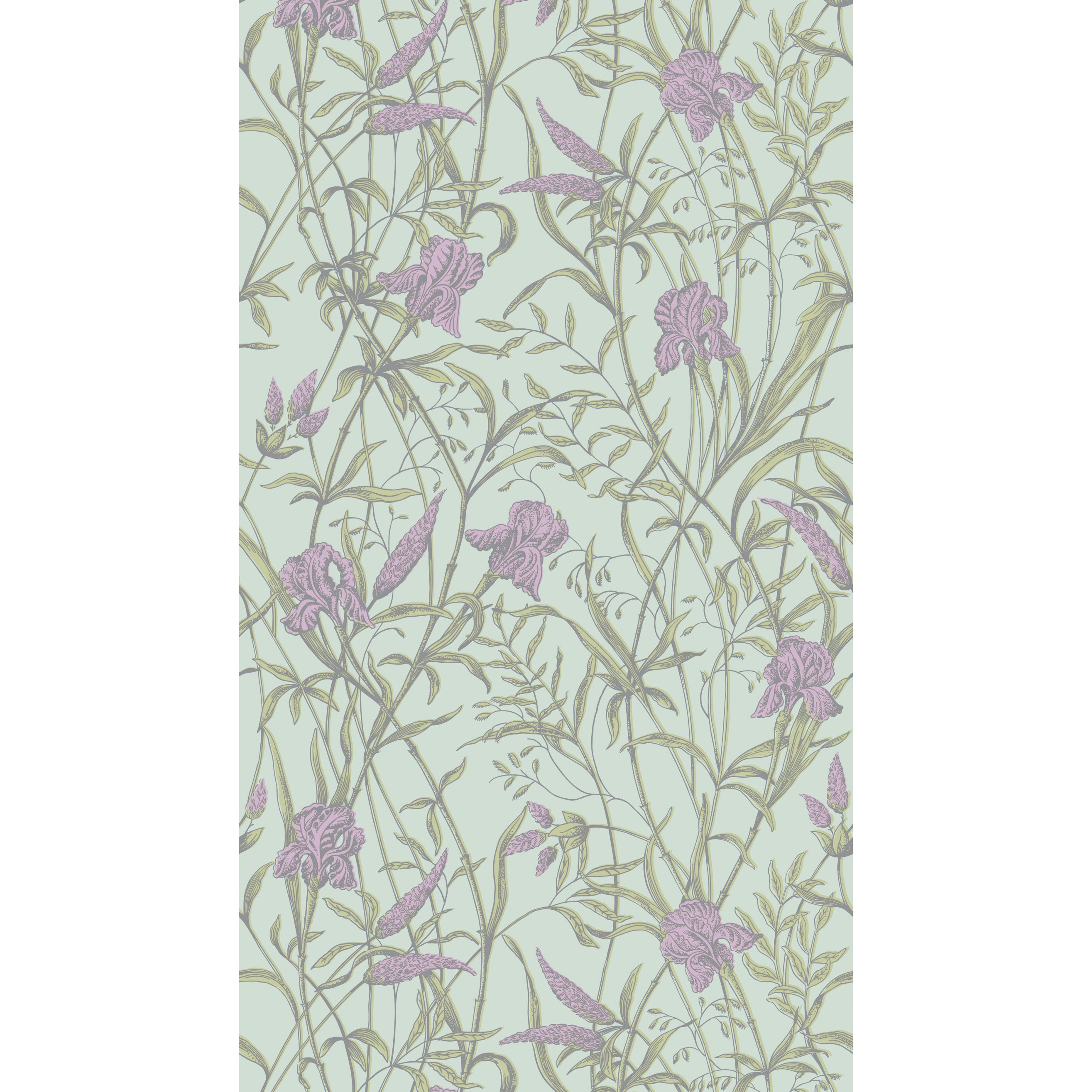 Iris Wallpaper in lavender on duck egg color - pattern number 128/5024.CS.0 - by Cole and Son in the Classics Vol II collection