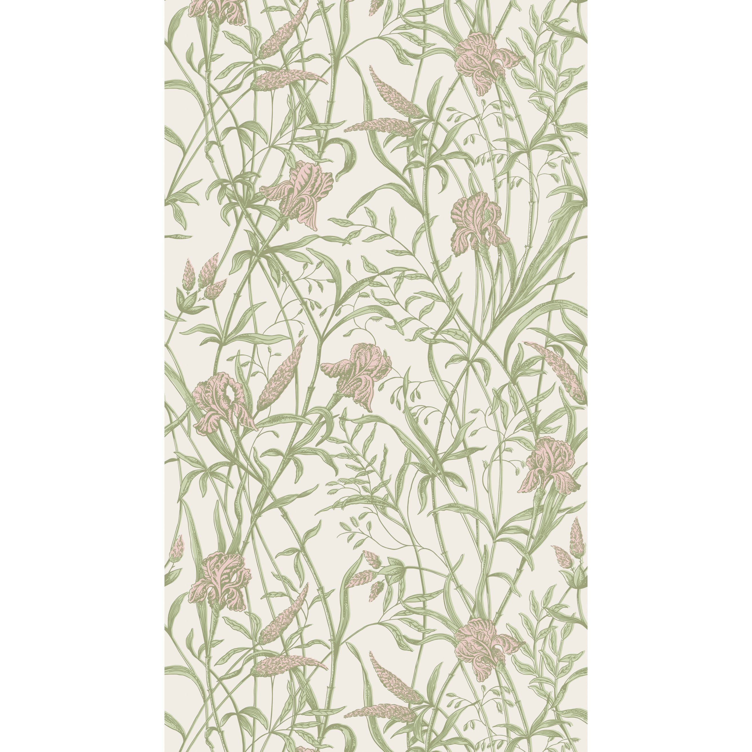 Iris Wallpaper in soft coral on chalk color - pattern number 128/5025.CS.0 - by Cole and Son in the Classics Vol II collection