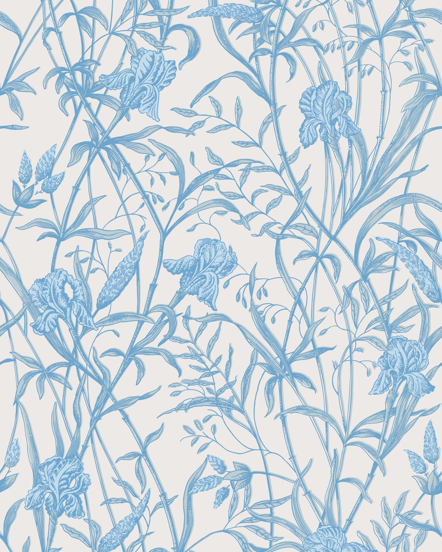 Iris Wallpaper in soft cerulean color - pattern number 128/5026.CS.0 - by Cole and Son in the Classics Vol II collection