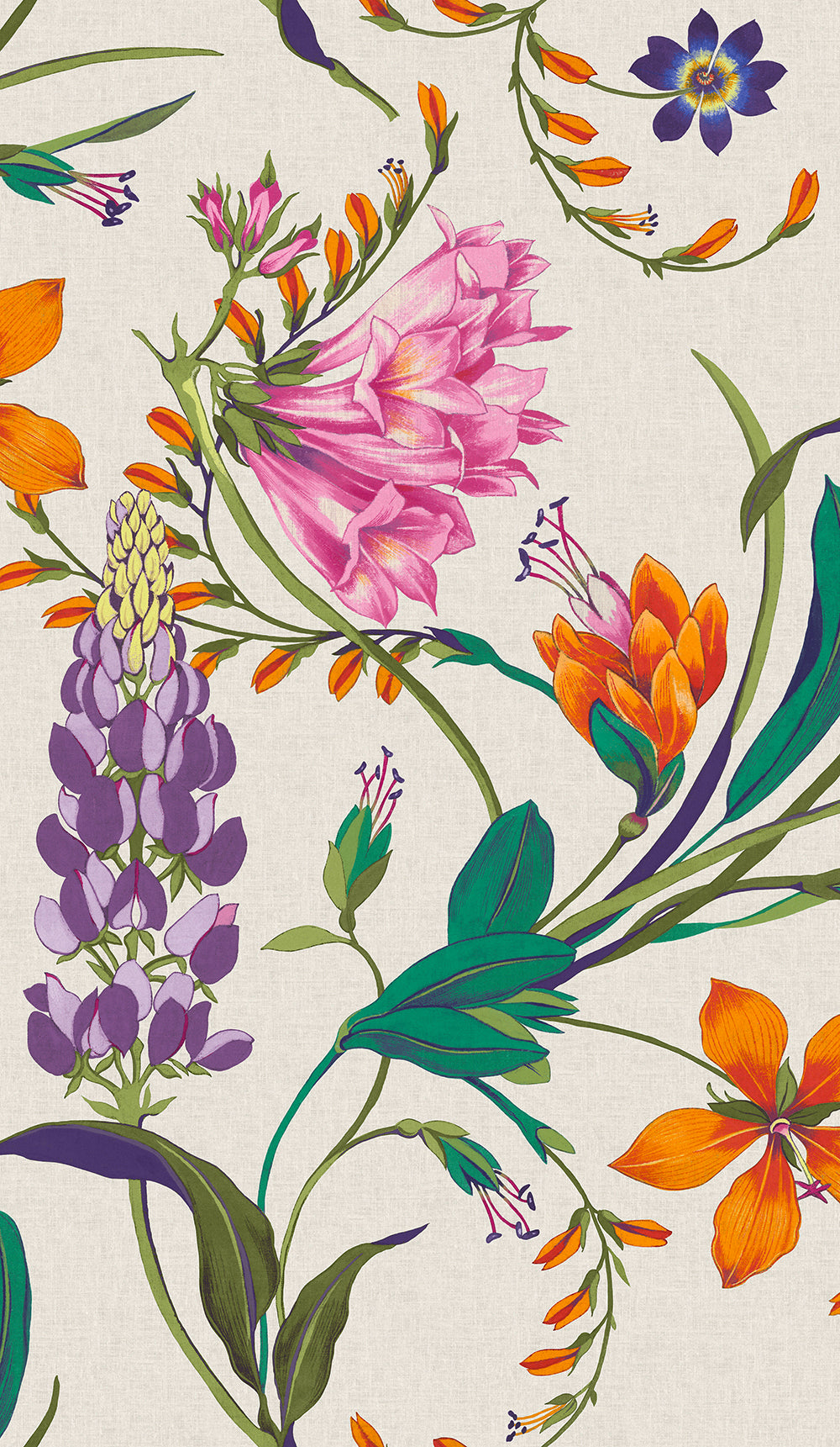 Botanists Scroll Wallpaper in viviant color - pattern number 130295 - by Graham and Brown in the 2025 Exclusives collection