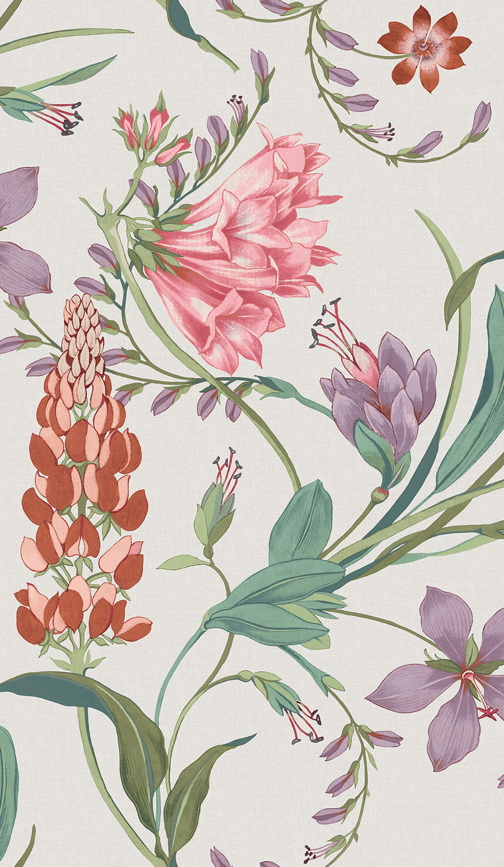 Botanists Scroll Wallpaper in pink color - pattern number 130296 - by Graham and Brown in the 2025 Exclusives collection