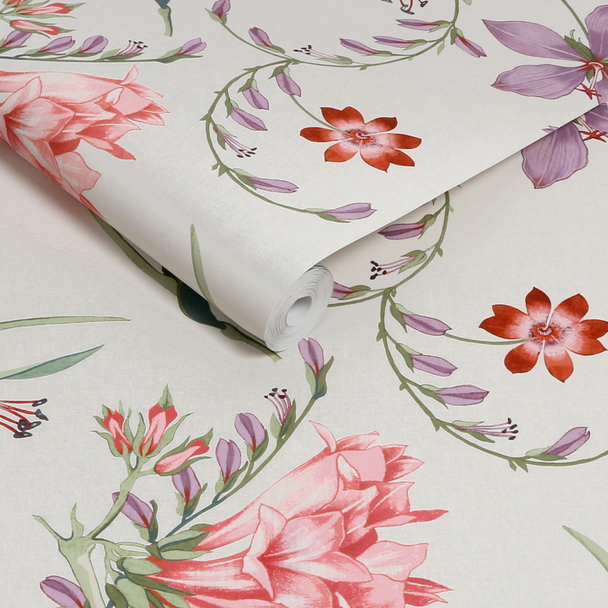 Botanists Scroll Wallpaper in pink color - pattern number 130296 - by Graham and Brown in the 2025 Exclusives collection