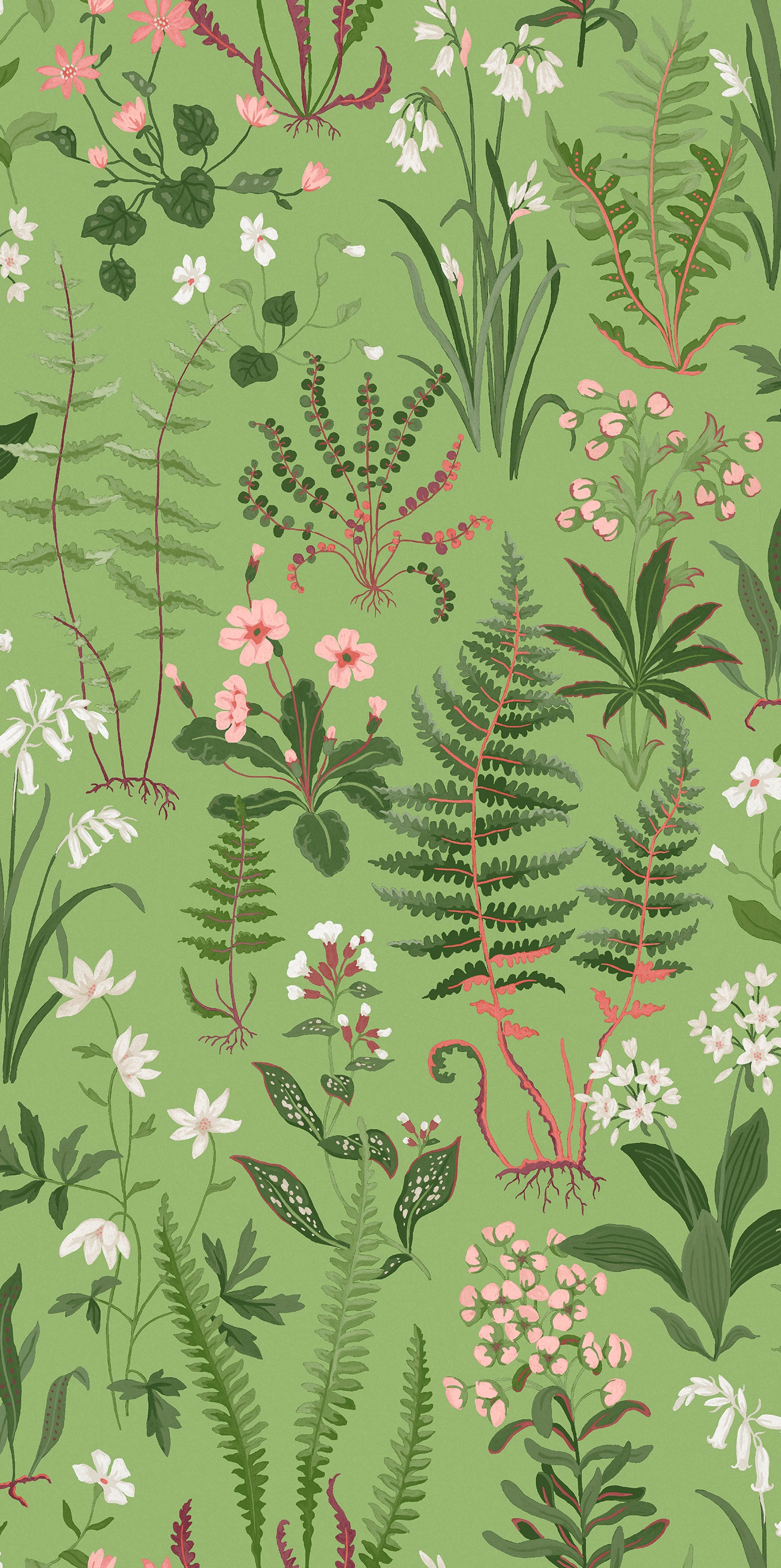 Oshibana Wallpaper in green color - pattern number 130316 - by Graham and Brown in the 2025 Exclusives collection