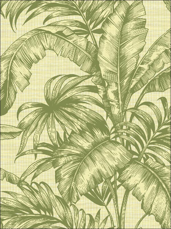 Tropical Leaves wallpaper in 41404 color - pattern number SG41404 - by Pelican Prints in the Sage II collection