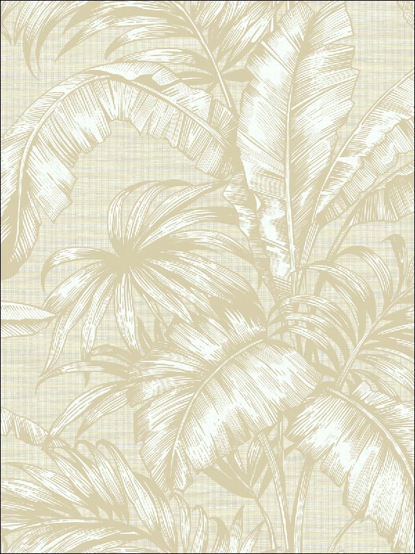 Tropical Leaves wallpaper in 41405 color - pattern number SG41405 - by Pelican Prints in the Sage II collection