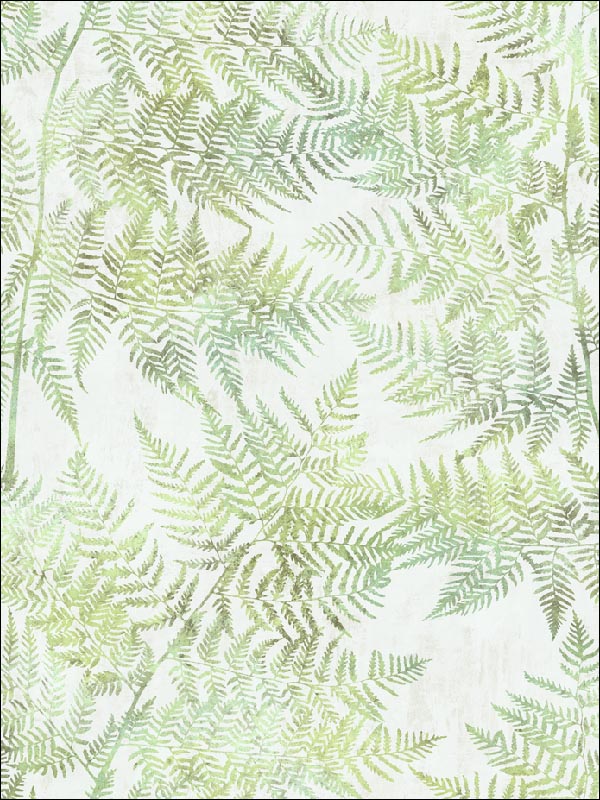 Fern Leaf fabric in 41604 color - pattern number SG41604 - by Pelican Prints in the Sage II collection