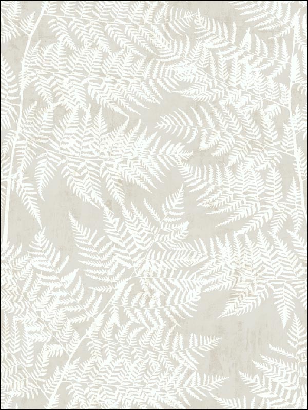 Fern Leaf wallpaper in 41608 color - pattern number SG41608 - by Pelican Prints in the Sage II collection