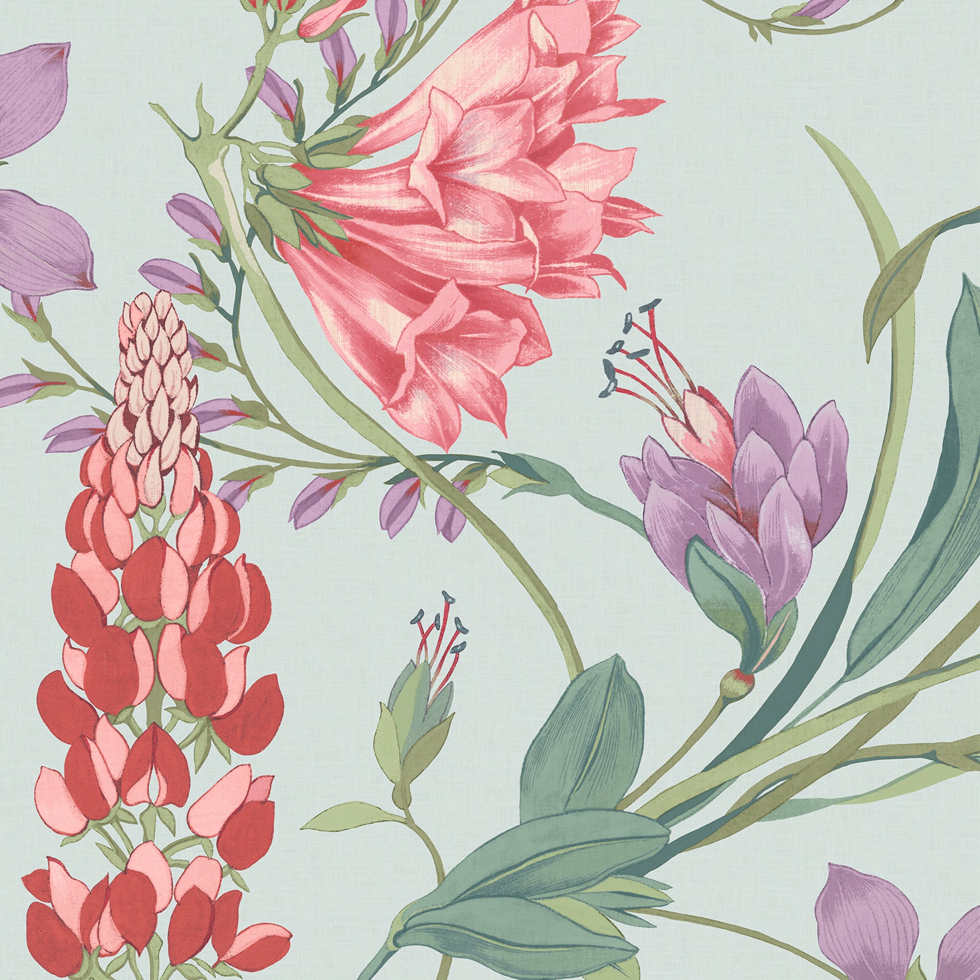 Botanists Scroll Wallpaper in duck egg color - pattern number 131672 - by Graham and Brown in the 2025 Exclusives collection