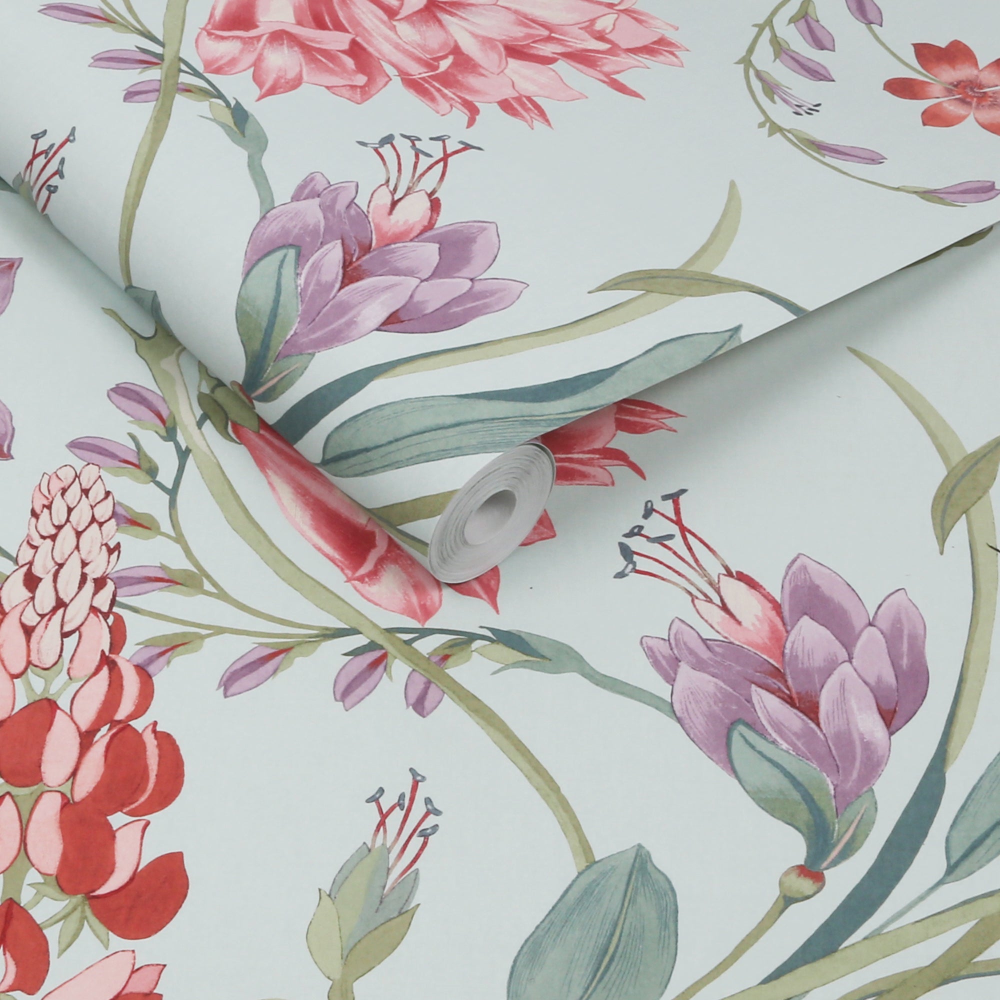 Botanists Scroll Wallpaper in duck egg color - pattern number 131672 - by Graham and Brown in the 2025 Exclusives collection