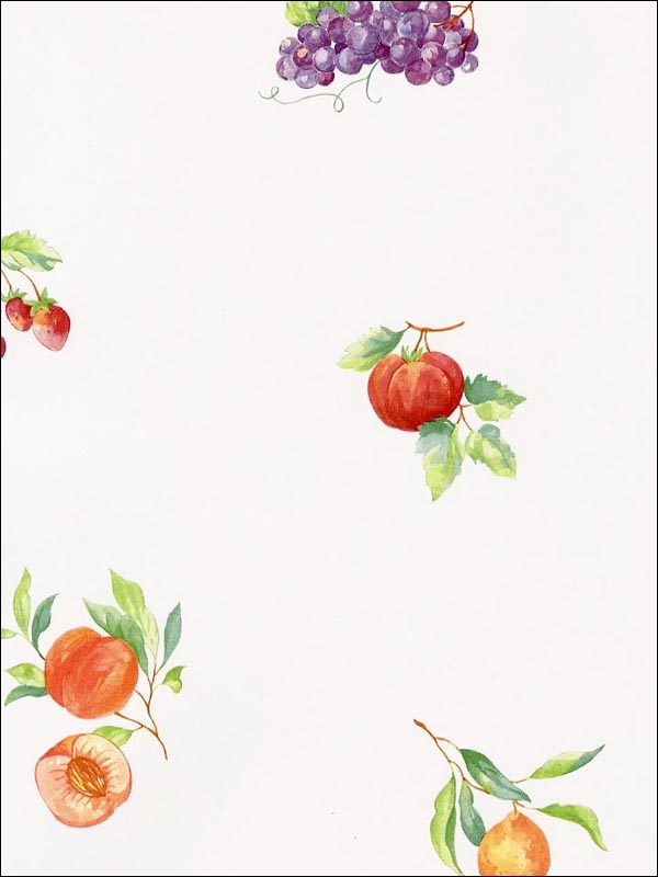 Fruit Recipe fabric in greens oranges pinks color - pattern number FK26906 - by Patton Norwall in the Fresh Kitchens 5 collection