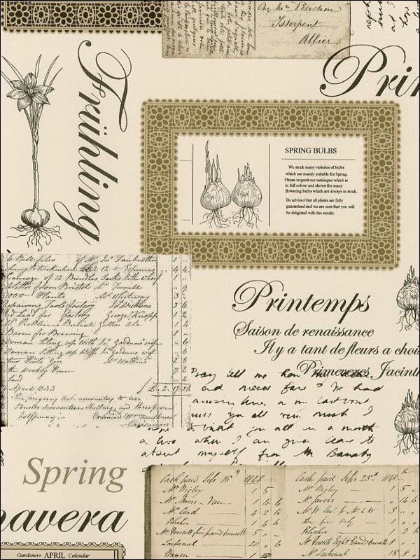Printemps Script wallpaper in blacks browns color - pattern number FK34419 - by Patton Norwall in the Fresh Kitchens 5 collection
