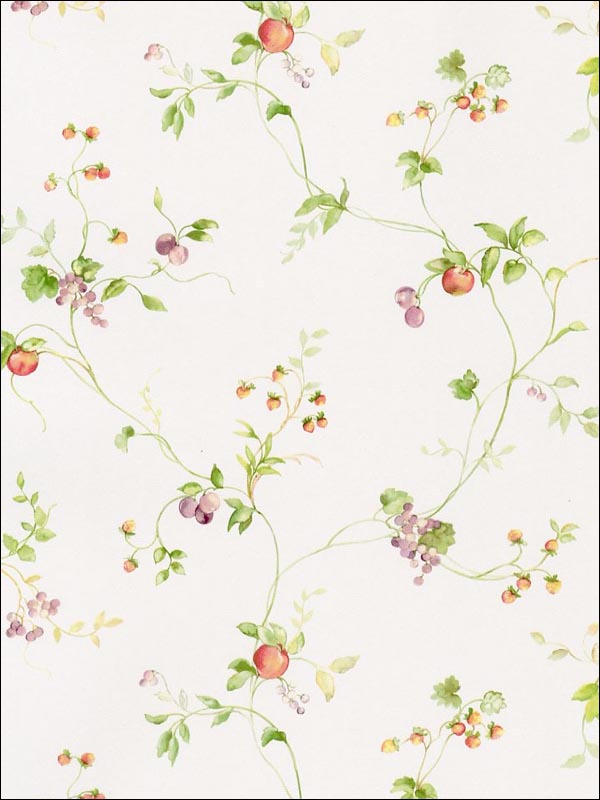 Mini Fruit Trail wallpaper in greens oranges pinks color - pattern number KC28534 - by Patton Norwall in the Fresh Kitchens 5 collection