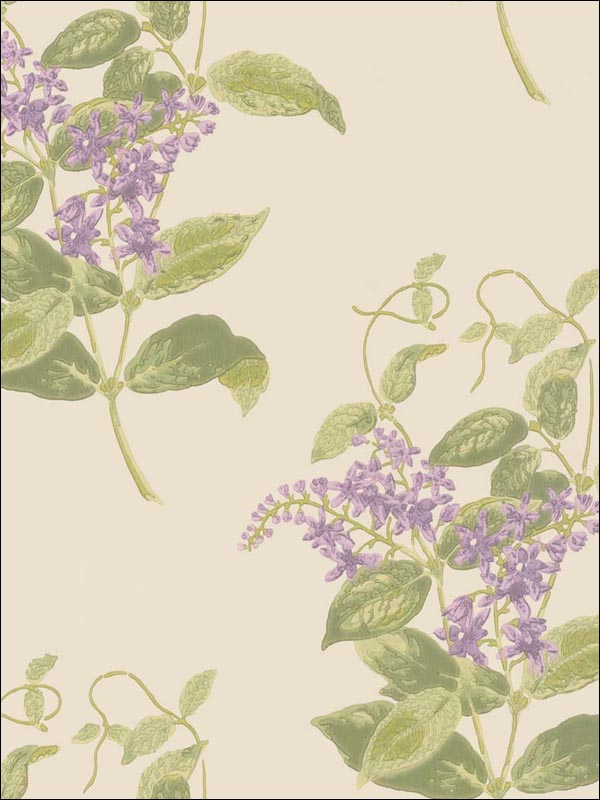 Madras Violet fabric in olive and lavender color - pattern number 100/12056.CS.0 - by Cole and Son in the Archive Anthology collection