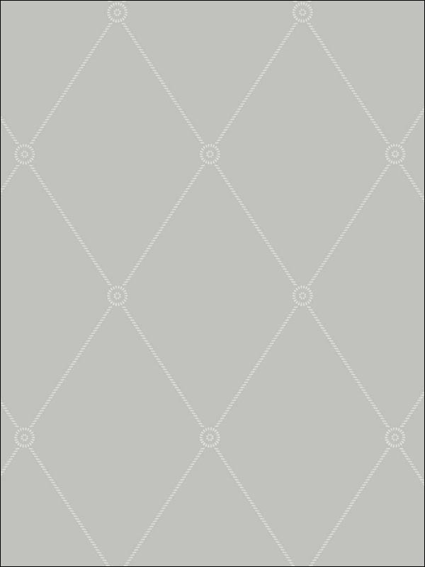 Large Georgian Rope Trellis fabric in grey color - pattern number 100/13062.CS.0 - by Cole and Son in the Archive Anthology collection