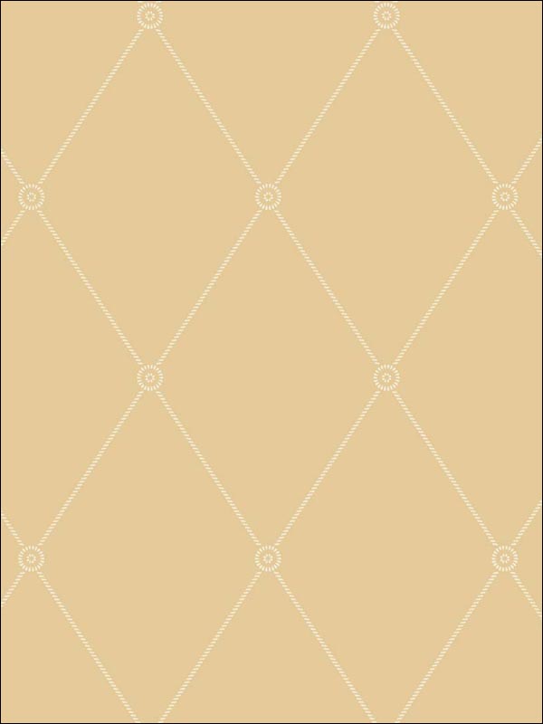 Large Georgian Rope Trellis fabric in yellow color - pattern number 100/13064.CS.0 - by Cole and Son in the Archive Anthology collection