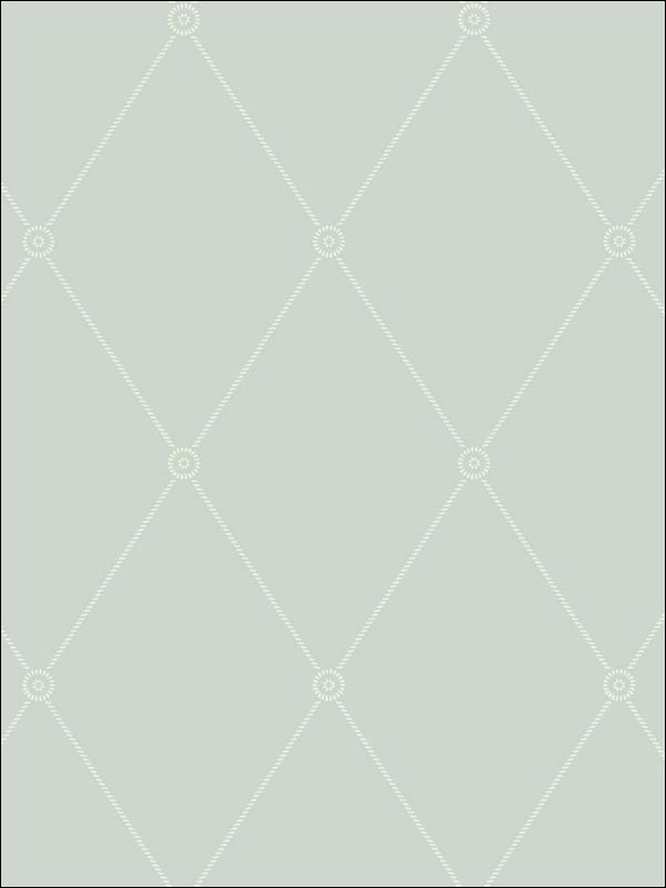 Large Georgian Rope Trellis fabric in duck egg color - pattern number 100/13066.CS.0 - by Cole and Son in the Archive Anthology collection