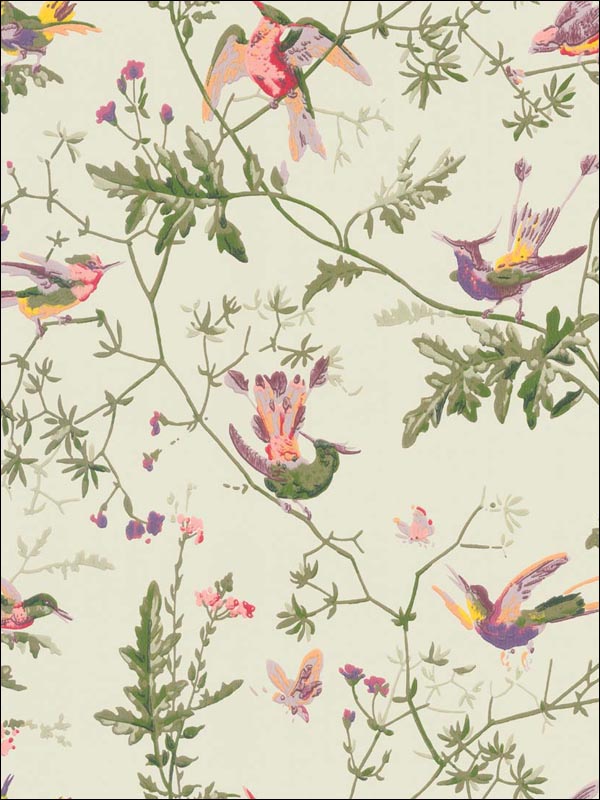 Hummingbirds fabric in green multi colour color - pattern number 100/14070.CS.0 - by Cole and Son in the Archive Anthology collection