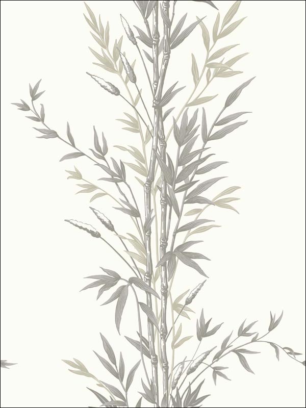 Bamboo wallpaper in charcoal color - pattern number 100/5025.CS.0 - by Cole and Son in the Archive Anthology collection