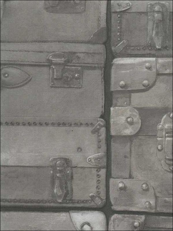 Luggage fabric in gunmetal color - pattern number AMW10008.21.0 - by Andrew Martin in the Engineer collection