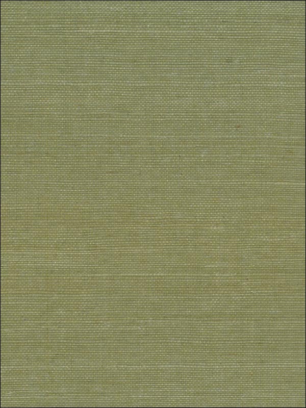 Sisal fabric in green color - pattern number NA208 - by Seabrook in the Natural Resource Seabrook collection