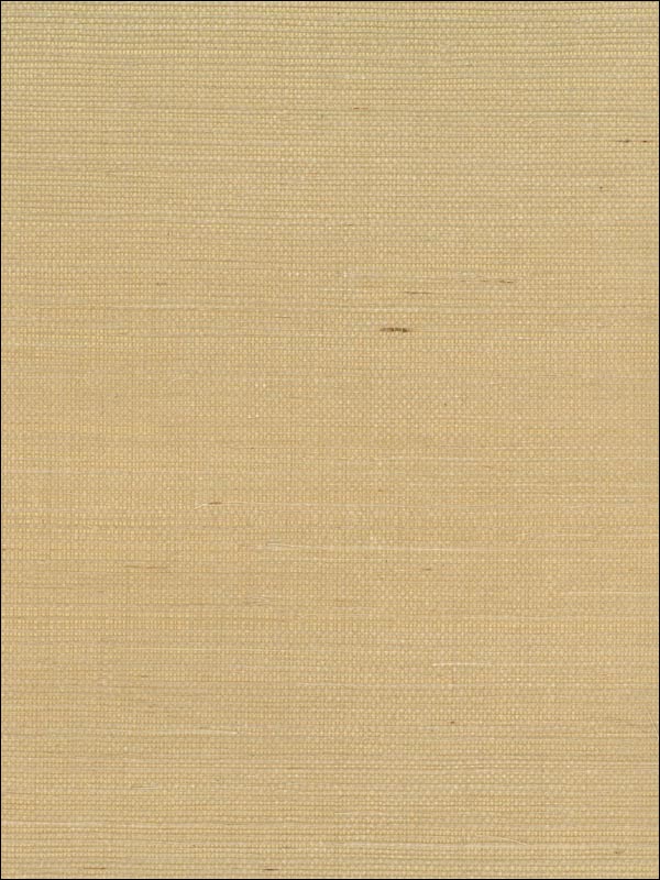 Sisal fabric in brown color - pattern number NA211 - by Seabrook in the Natural Resource Seabrook collection
