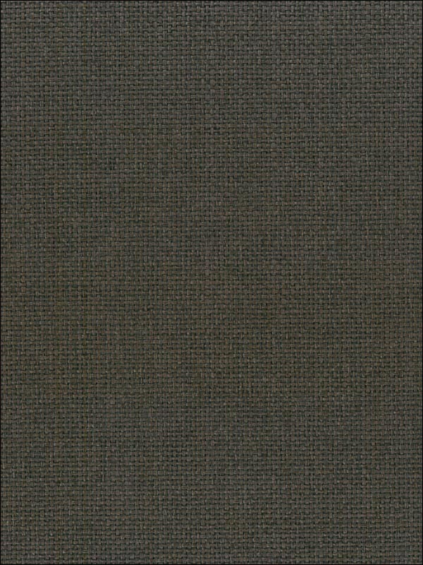Paperweave fabric in brown color - pattern number NA505 - by Seabrook in the Natural Resource Seabrook collection
