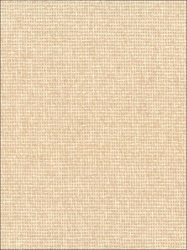 Paperweave fabric in neutrals color - pattern number NA506 - by Seabrook in the Natural Resource Seabrook collection
