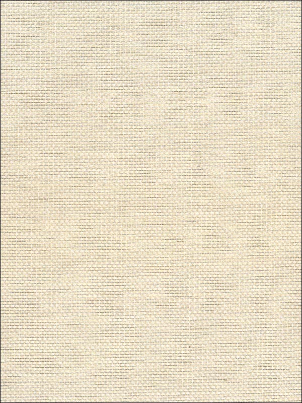 Paperweave fabric in metallic silver off white color - pattern number NA509 - by Seabrook in the Natural Resource Seabrook collection