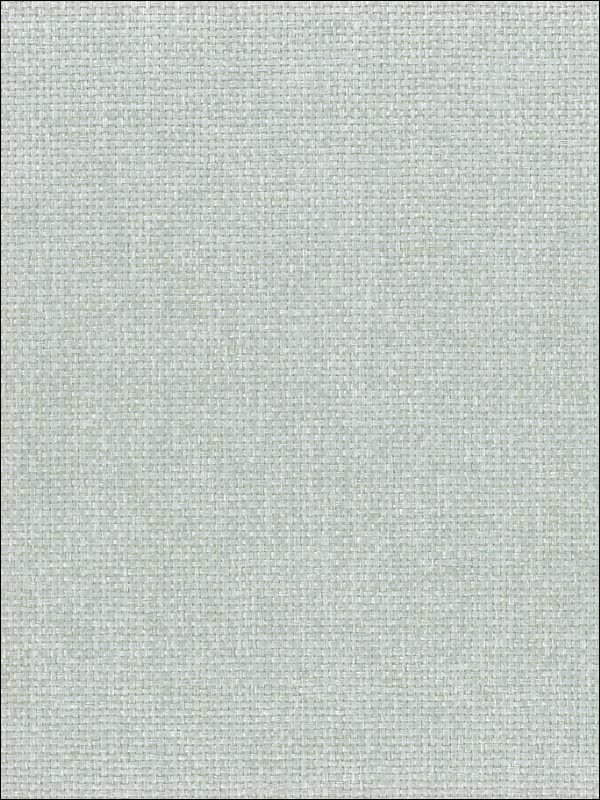 Paperweave fabric in green color - pattern number NA513 - by Seabrook in the Natural Resource Seabrook collection
