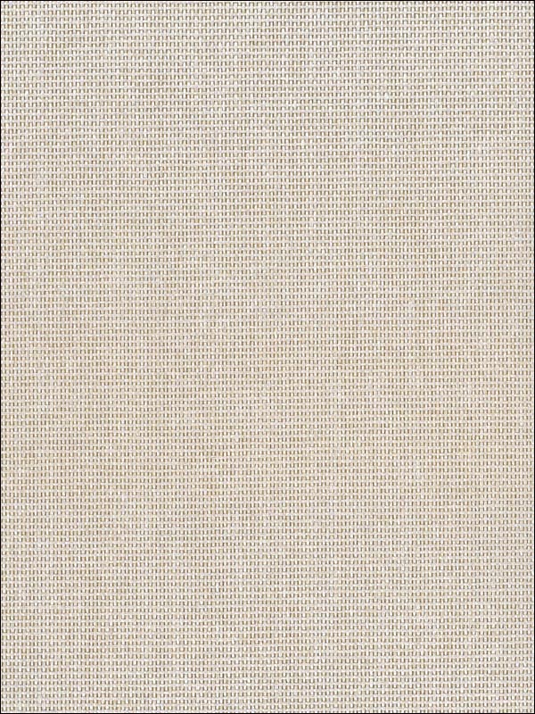 Paperweave fabric in neutrals color - pattern number NA514 - by Seabrook in the Natural Resource Seabrook collection