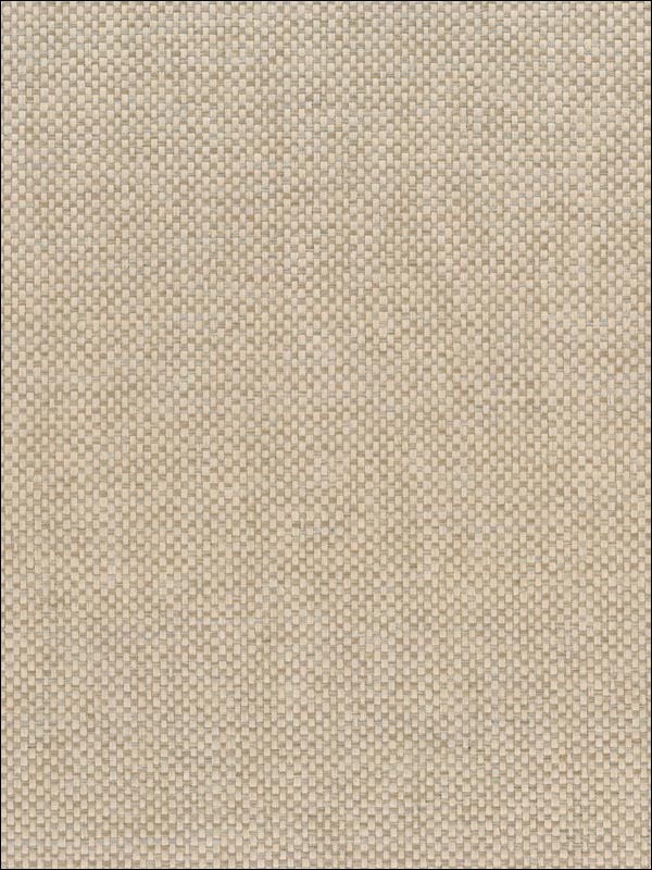 Paperweave fabric in brown color - pattern number NA515 - by Seabrook in the Natural Resource Seabrook collection