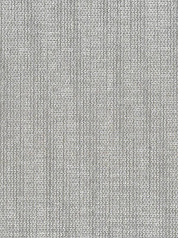 Paperweave fabric in gray color - pattern number NA522 - by Seabrook in the Natural Resource Seabrook collection