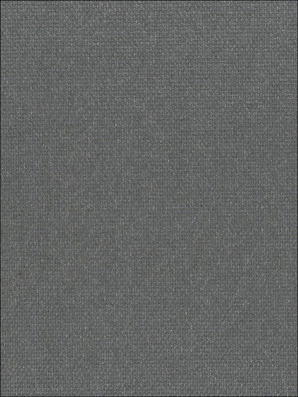 Paperweave fabric in black color - pattern number NA524 - by Seabrook in the Natural Resource Seabrook collection