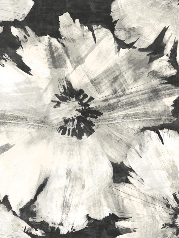 Curie Abstract Floral fabric in metallic ebony and off white color - pattern number AV50000 - by Seabrook in the Avant Garde by Seabrook Designs collection