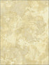 Newton Texture fabric in metallic gold and off white color - pattern number AV51505 - by Seabrook in the Avant Garde by Seabrook Designs collection