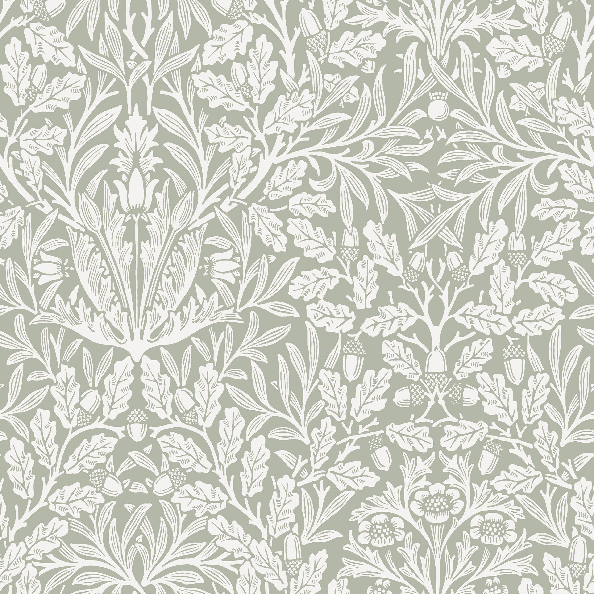 Acorn wallpaper in sage color - pattern number 140492 - by Graham and Brown in the William Morris At Home SS25 collection