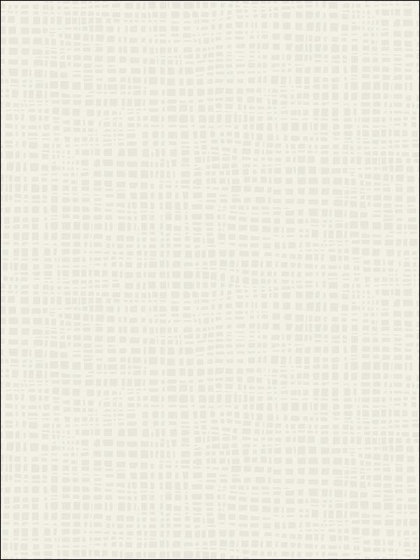 Woven Grass Faux Finish fabric in 21201 color - pattern number BW21201 - by Paper and Ink in the Black and White Paper and Ink collection