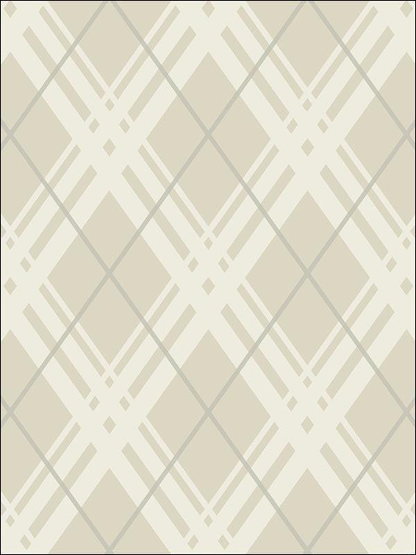 Bias Plaid wallpaper in 22008 color - pattern number BW22008 - by Paper and Ink in the Black and White Paper and Ink collection